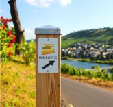 Moselsteig Moselsteig