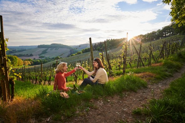 Picknick im Weinberg bei Wittlich
