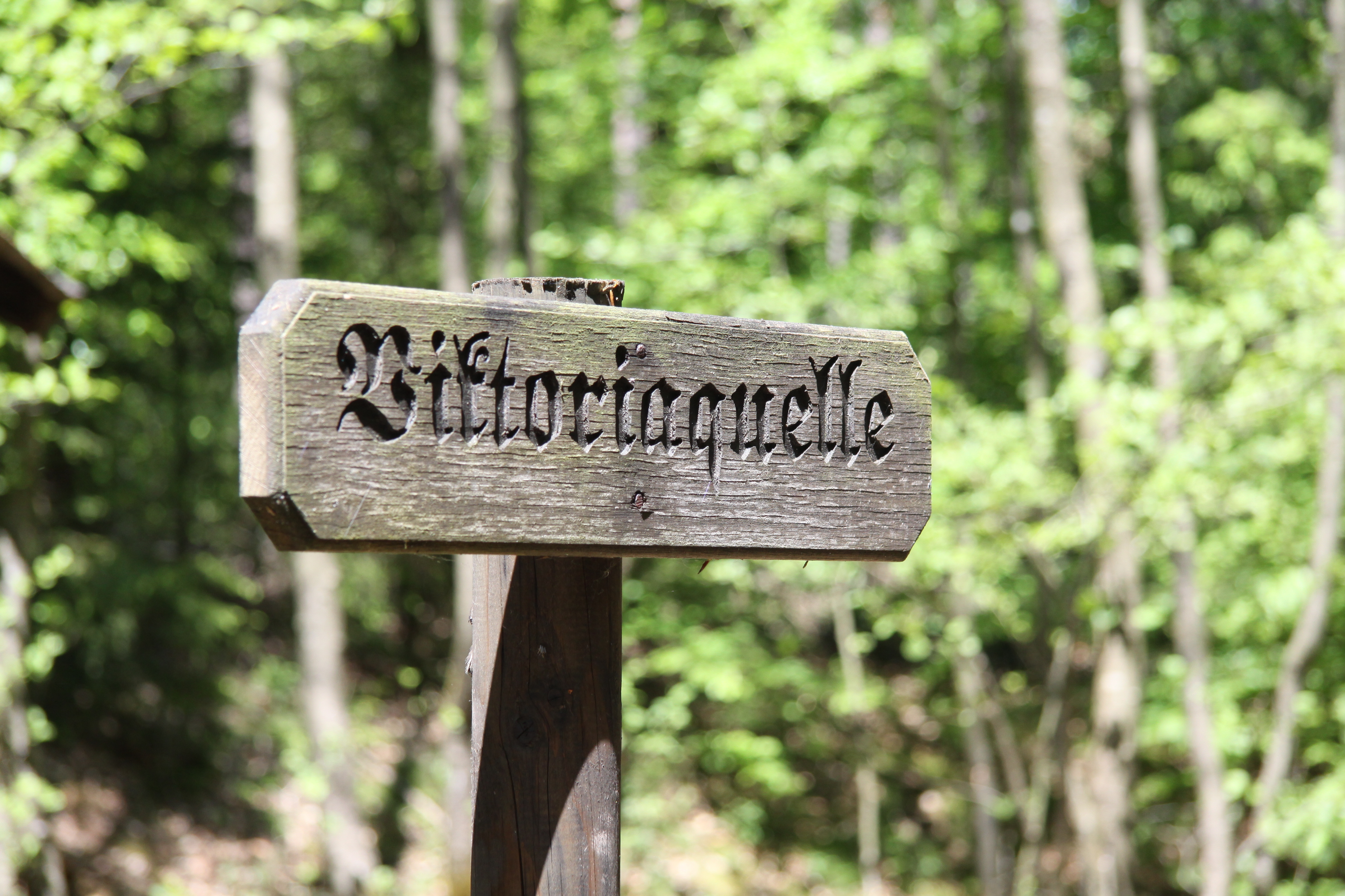 Victoriaquelle im Meulenwald
