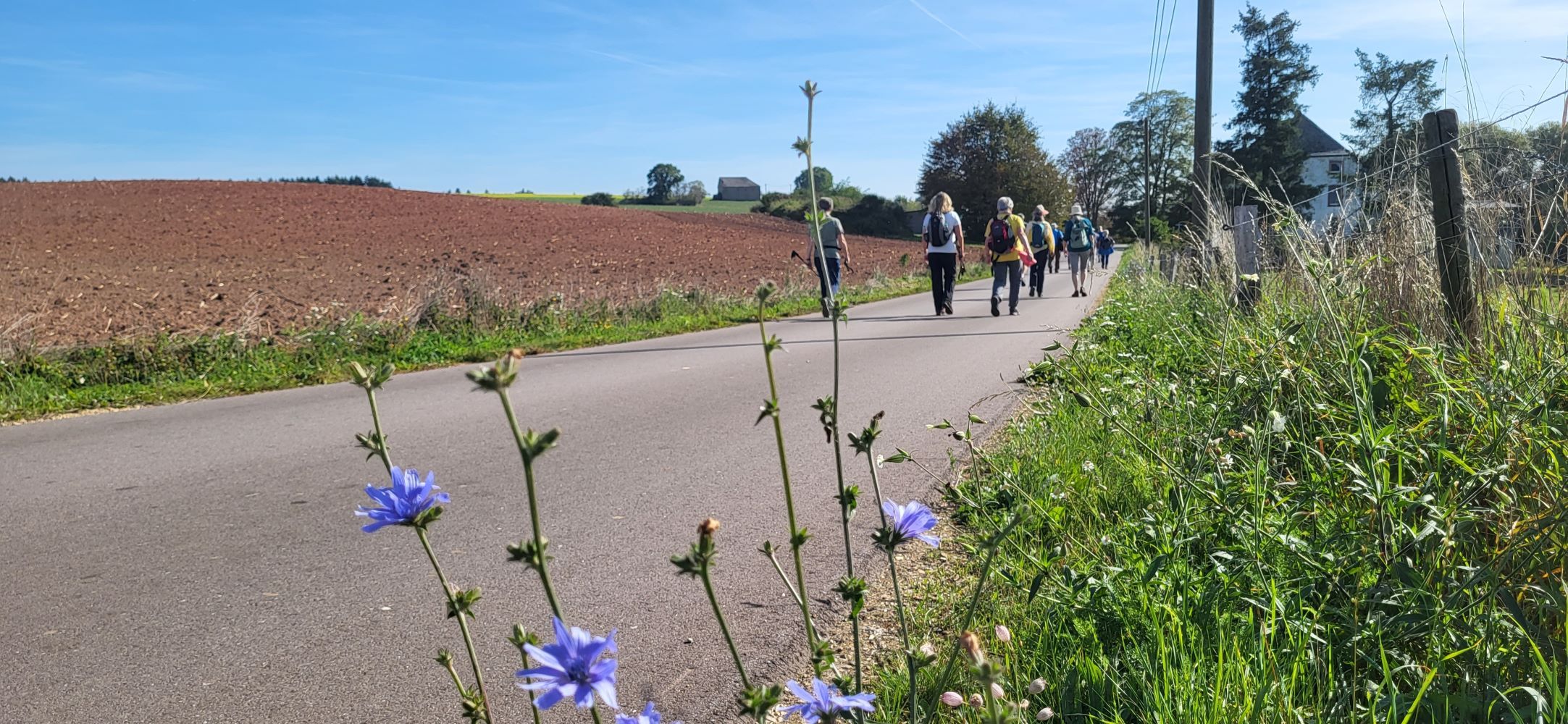 Wandern über die Eifelhöhen Wandern über die Eifelhöhen