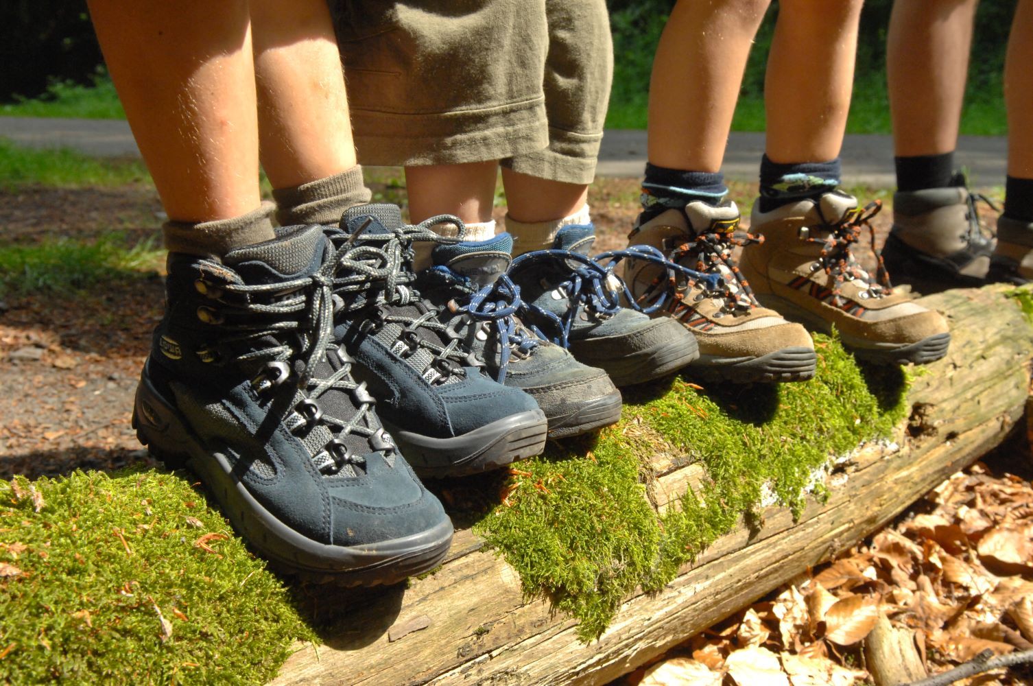 Wanderschuhe auf Baumstamm