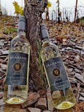 Weingut Braband Rivenich