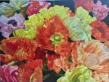 Mohn Rinaldo Greco