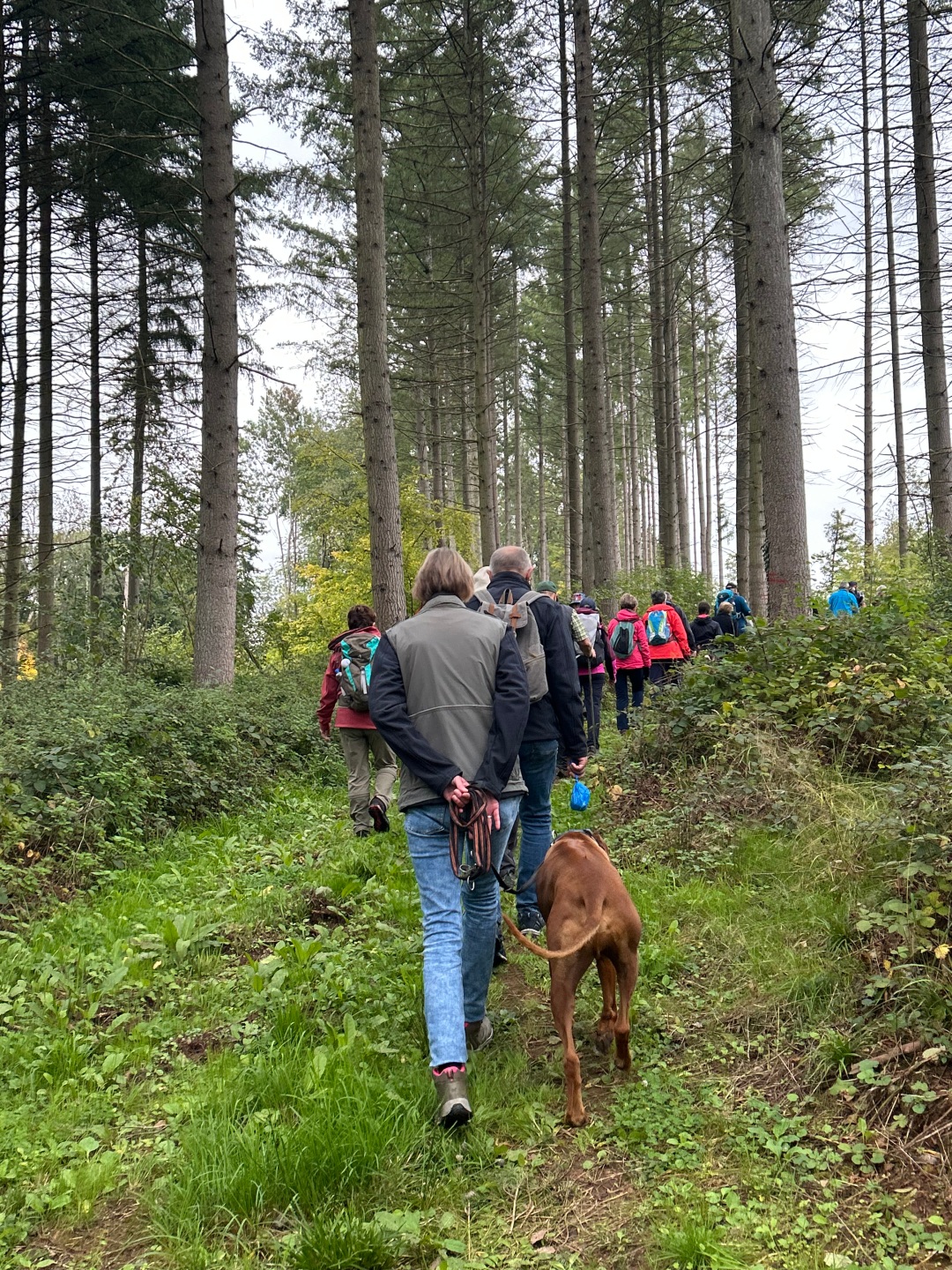 Wandergruppe auf dem Rundwanderweg Römer, Ritter und Vulkane Wandergruppe auf dem Rundwanderweg Römer, Ritter und Vulkane