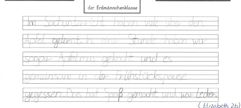 Der Schülertext